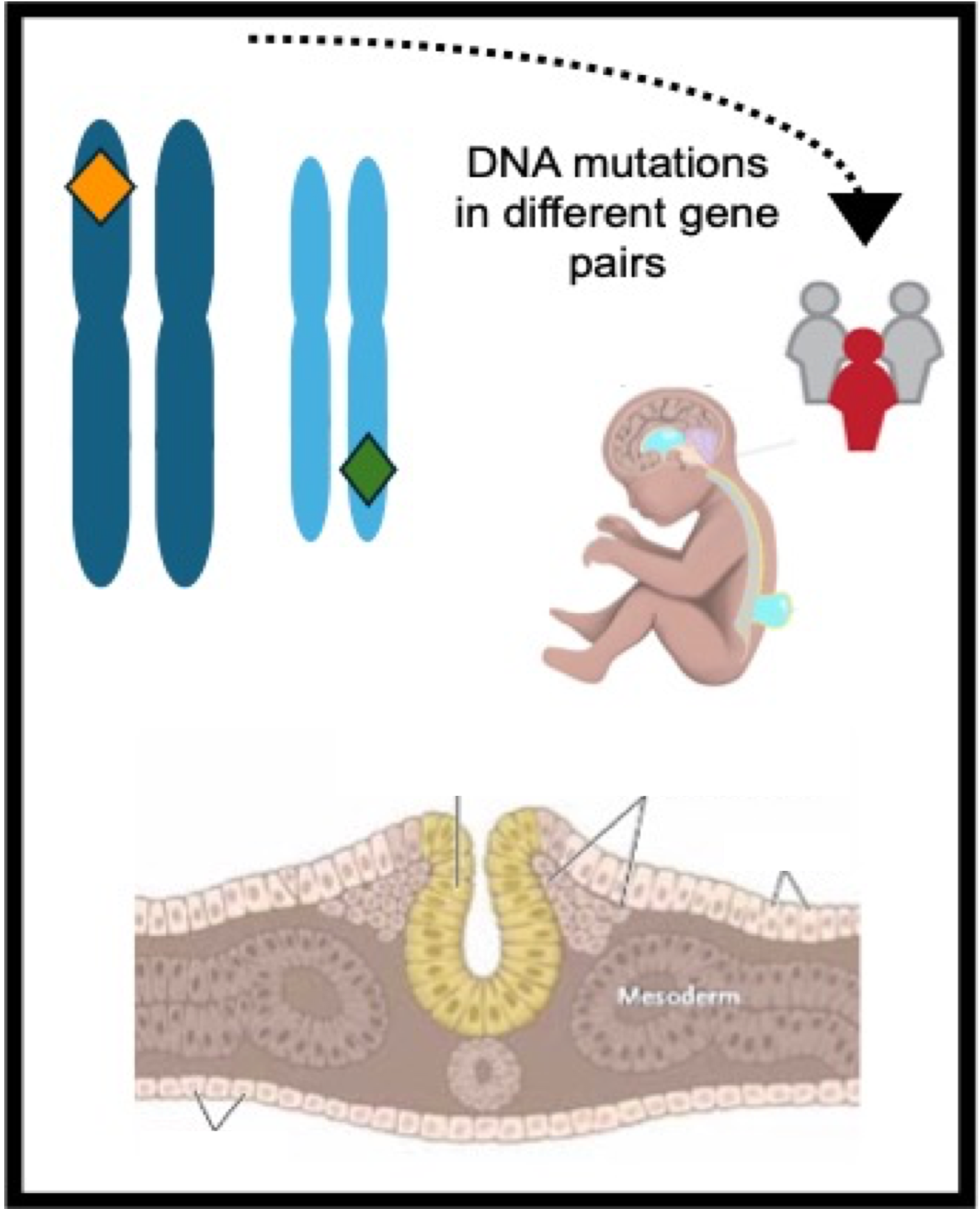 Trio Cohort Analysis